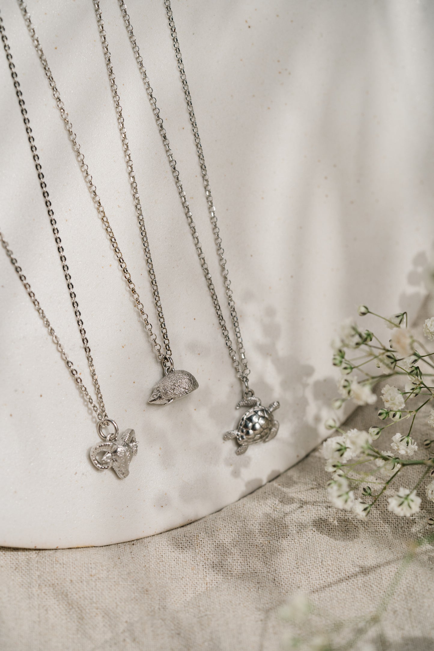 Animals - Wasserschildkröte