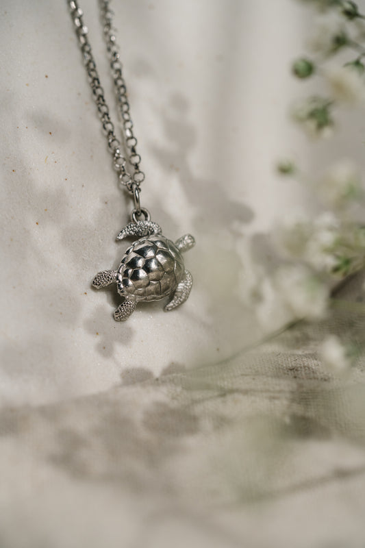 Animals - Wasserschildkröte